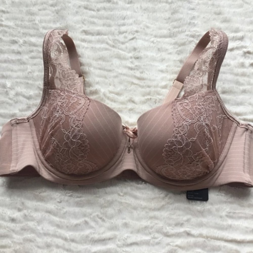 *NEW* Ashley Graham bra